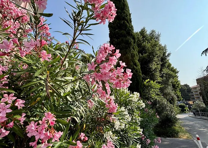 דירה The Mermaid Cove *